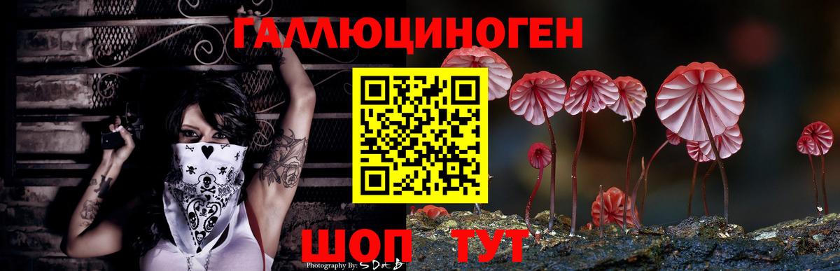 Псилоцибиновые грибы мухоморы  Вход с VPN  Железногорск  Галлюциногенные грибы мухоморы 